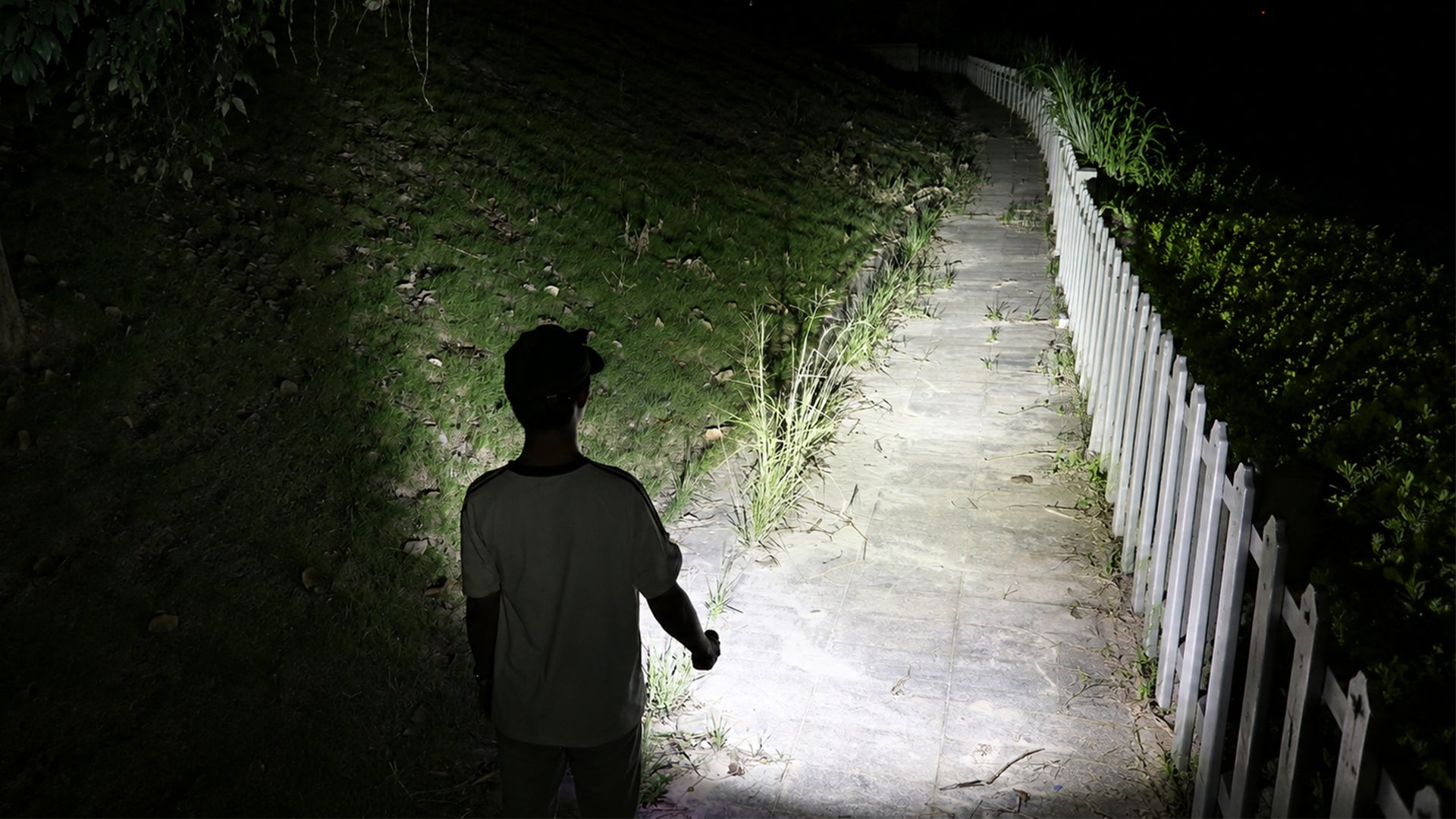 Flood Light